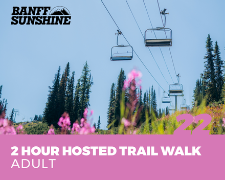 2 Hour Hosted Trail Walk - Adult