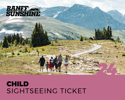 Child Sightseeing Ticket