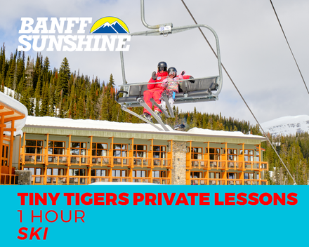 Private Lesson 1-Hour Tiny Tiger Ski (2-5Yrs)