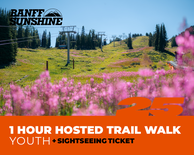 1 Hour Walk and Lift Ticket - Youth (6-17yrs)