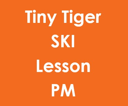 Tiny Tigers Half Day PM Ski Lesson (3-6Yrs)