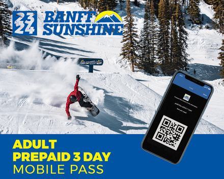 Prepaid 3 Day Mobile Pass - Adult (Age 18+)