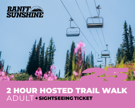 2 Hour Walk and Lift Ticket - Adult (18+)