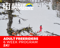 Adult Freeriders Ski (18+) 6 Week