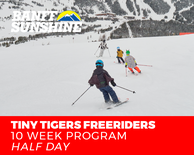 Freeriders 10 Week Tiny Tiger Ski - Afternoons