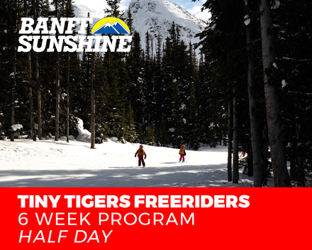 Freeriders 6 Week Tiny Tiger Ski - Afternoons