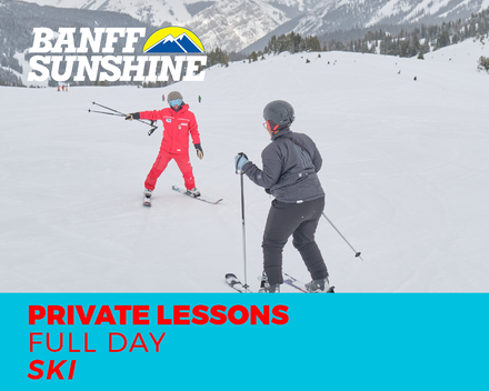 Private Lesson Full Day Ski (3+Yrs)