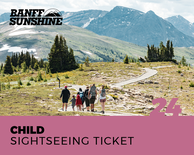 Child Sightseeing Ticket