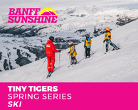 Spring Series Tiny Tigers Half Day AM Ski (3-6Yrs)