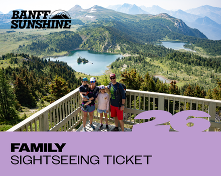 Family Sightseeing Ticket