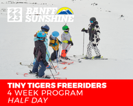 Tiny Tiger Freeriders Half Day PM 4 Week Ski (3-6 Years)
