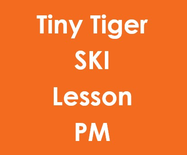Tiny Tigers Half Day PM Ski Lesson (3-6Yrs)