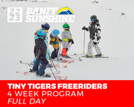 Tiny Tiger Freeriders Full Day 4 Week Ski (3-6 Years)