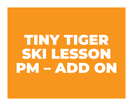 Tiny Tigers Half Day PM Ski Lesson ADD ON (3-6Yrs)