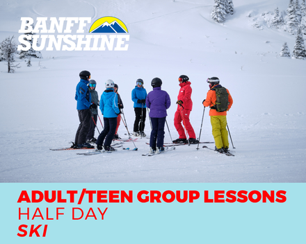 Group Lesson Adult/Teen Half Day PM Ski (13+Yrs)