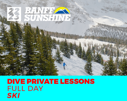Delirium Dive Full Day Ski Private Lesson (18+ Years)