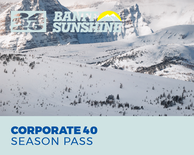 Winter Corporate Pass - 40 Uses