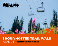 1 Hour Walk and Lift Ticket - Adult (18+)