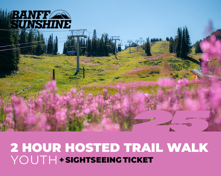 2 Hour Walk and Lift Ticket - Youth (6-17yrs)