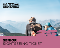 Senior Sightseeing Ticket