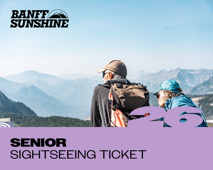 Senior Sightseeing Ticket