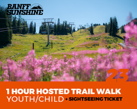 1 Hour Hosted Walk and Sightseeing - Youth/Child