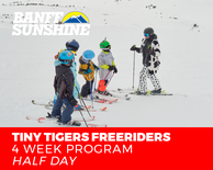 Freeriders 4 Week Tiny Tiger Ski - Afternoons