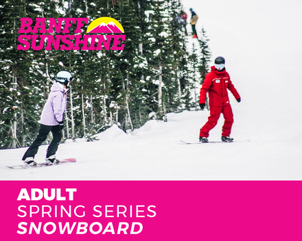 Spring Series Adult Snowboard (18+yrs)