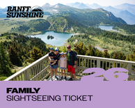 Family Sightseeing Ticket