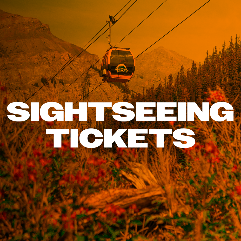 Sightseeing Tickets