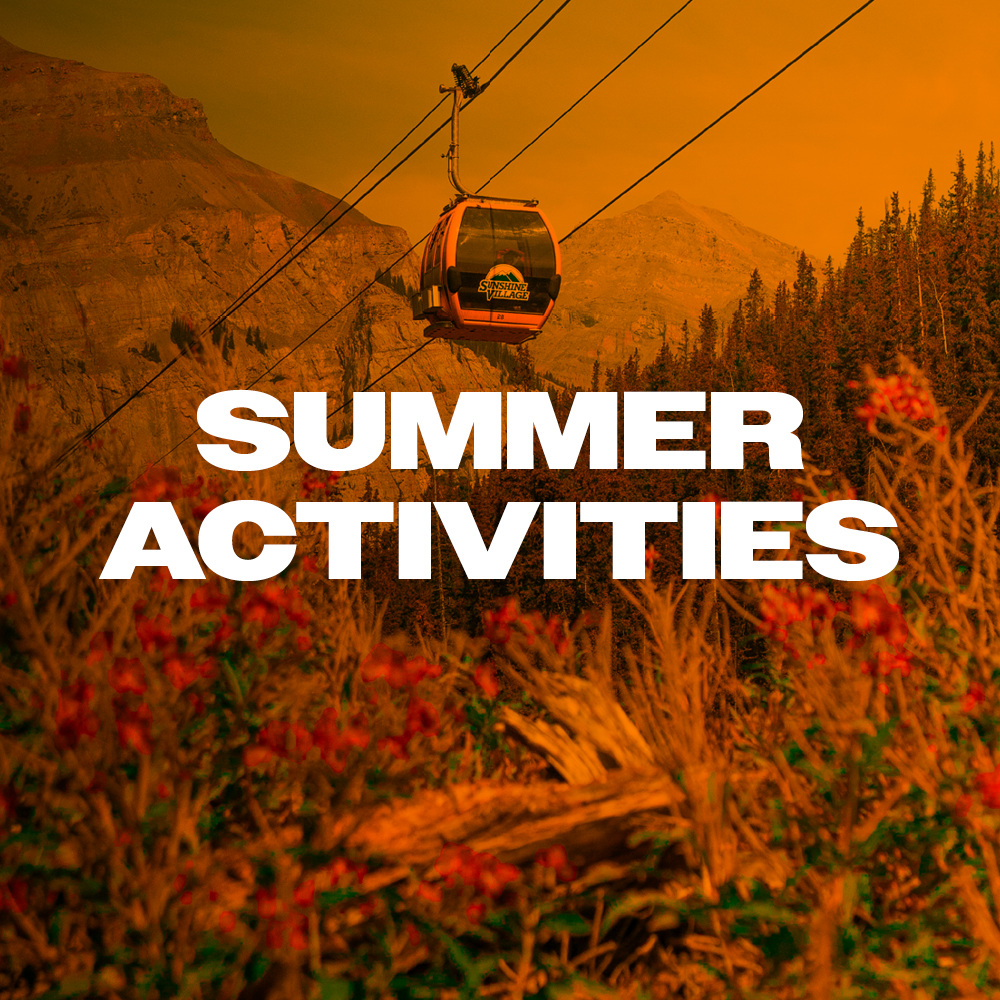 Summer Activities