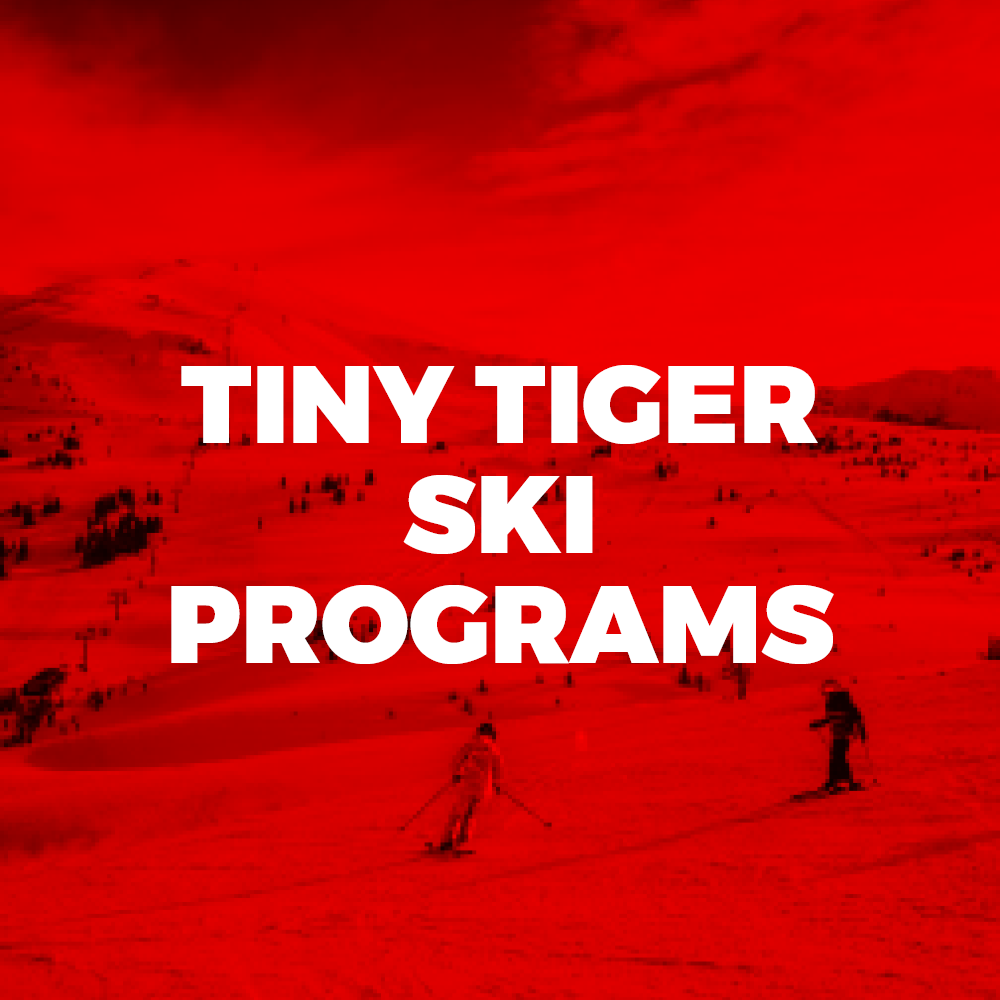 Tiny Tiger Ski Programs