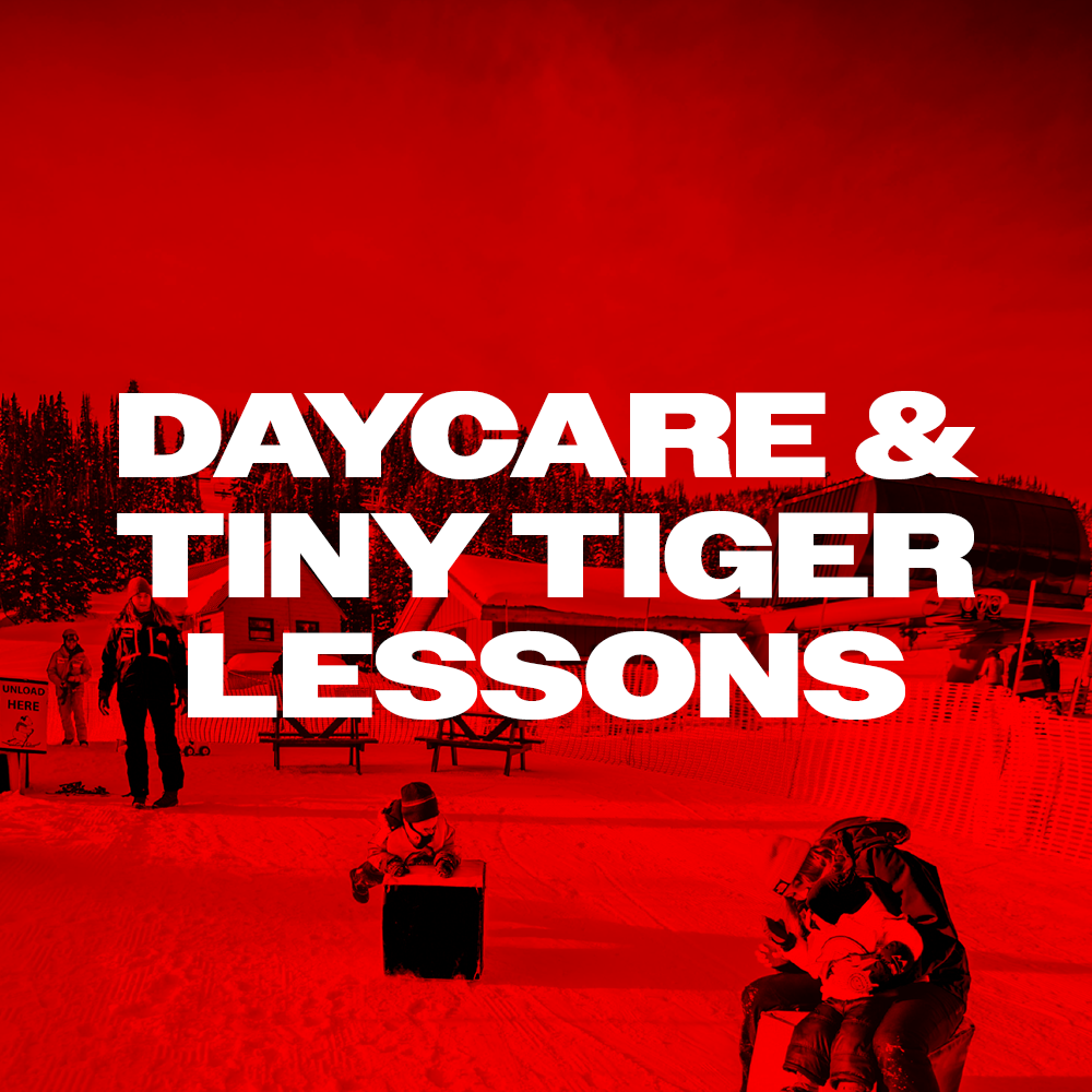 Daycare & Tiny Tiger Lessons