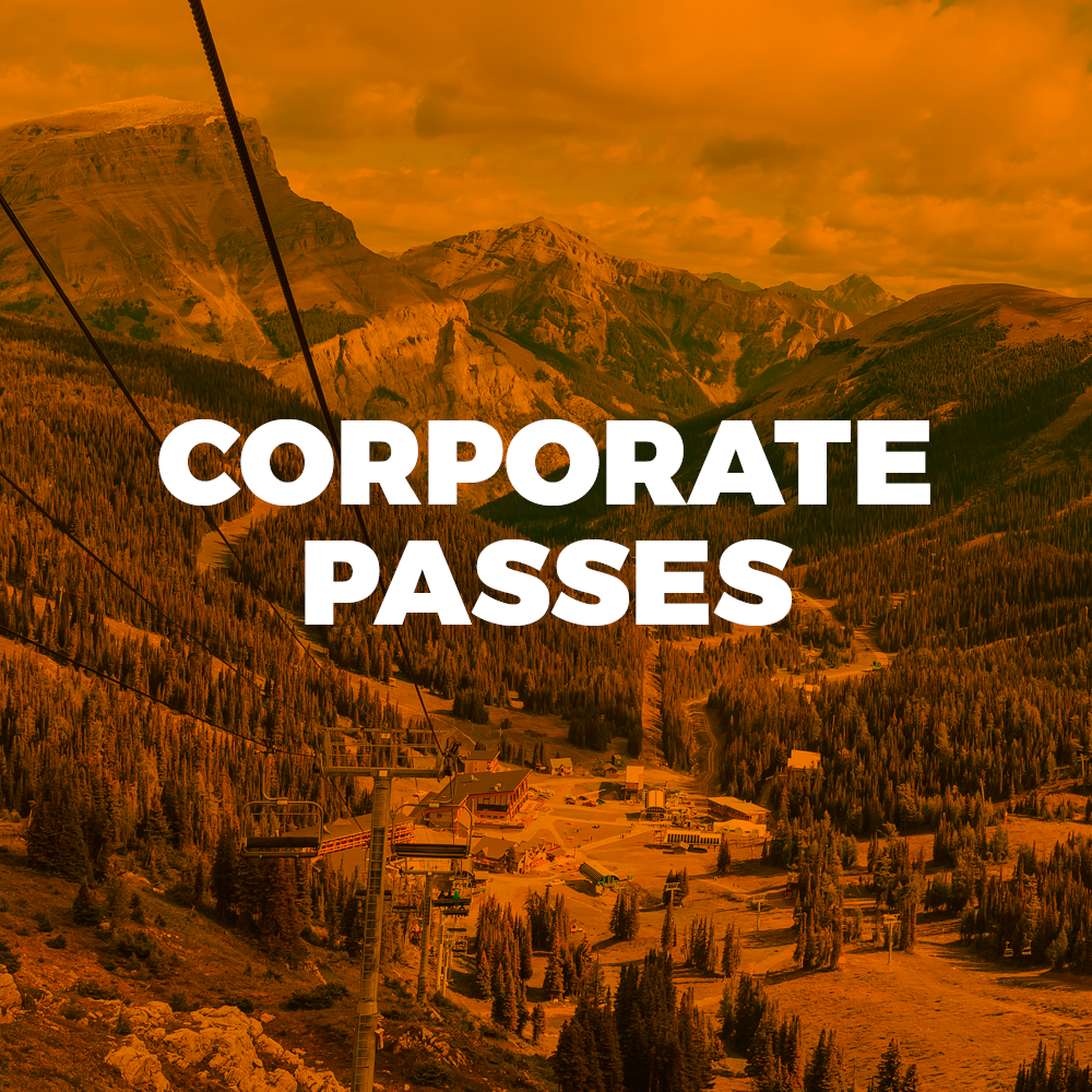 Corporate Passes