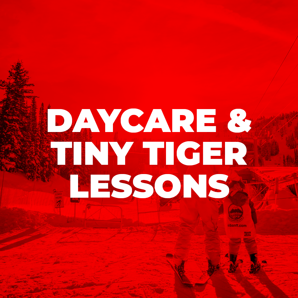 Daycare & Tiny Tiger Lessons