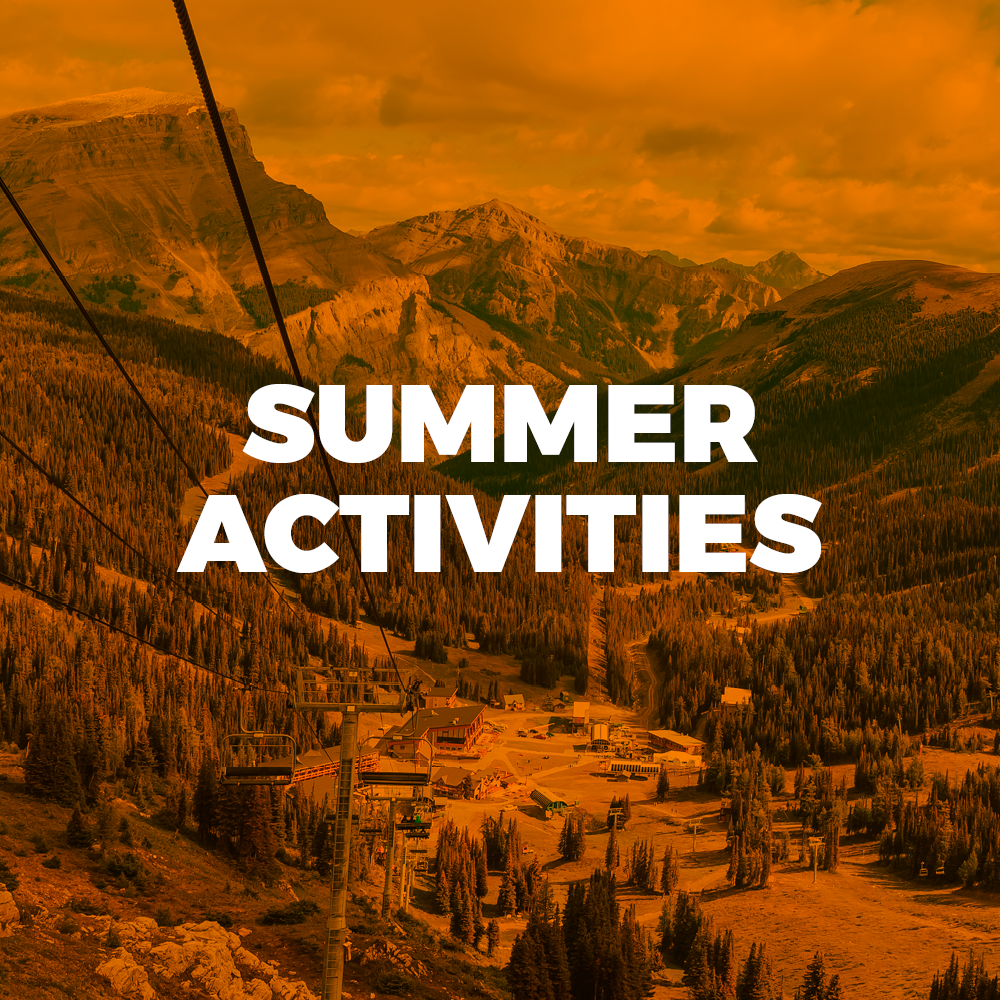 Summer Activities